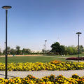 SAVAYA | Solar Post Top Light